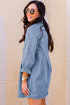 Long Sleeve Denim Mini